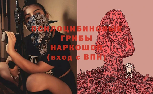 прущие грибы Балахна