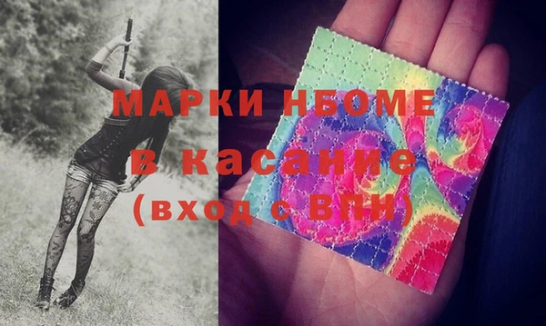 прущие грибы Балахна