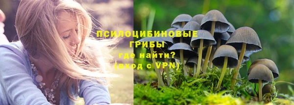 прущие грибы Балахна