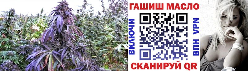 Купить где  Сковородино  ТГК THC oil 