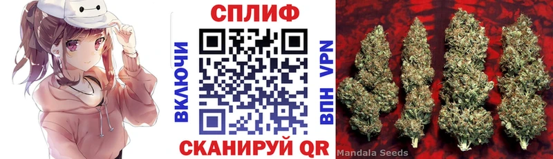 Купить где  Сковородино  Канабис Bruce Banner 